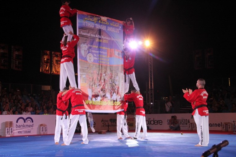 Martial Arts Festival